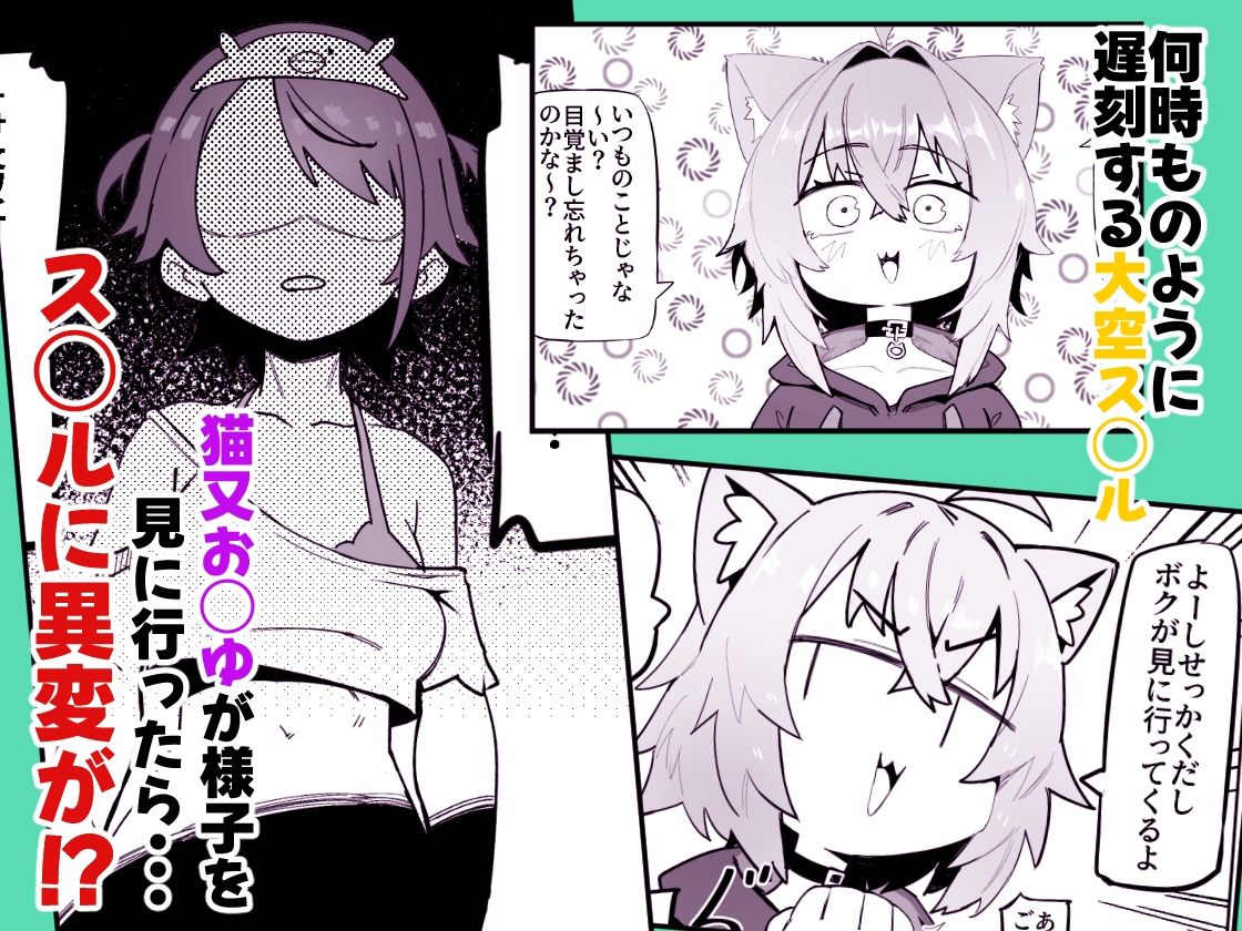 SOFS 画像1